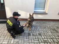 policjant, który trzyma psa za łapę